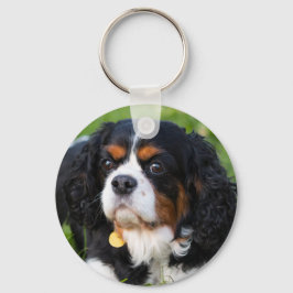 Tri Color Cavalier King Charles Spaniel Dog Schlüsselanhänger