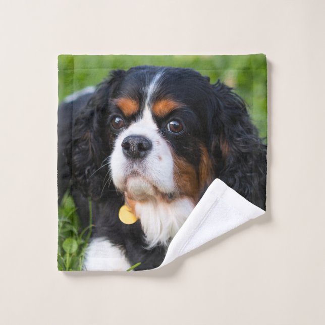 Tri Color Cavalier King Charles Spaniel Puppy Dog Waschlappen (Waschlappen)