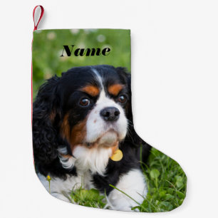 Tri Color Cavalier König Charles Spaniel Hund Kleiner Weihnachtsstrumpf