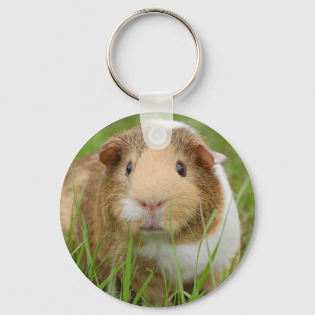 Tri Color Guinea Pig Schlüsselanhänger (Vorderseite)