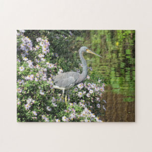 Tri-Color Heron, Wilde Blume und Reflexionen