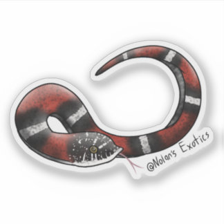Tri-color Hognose sticker