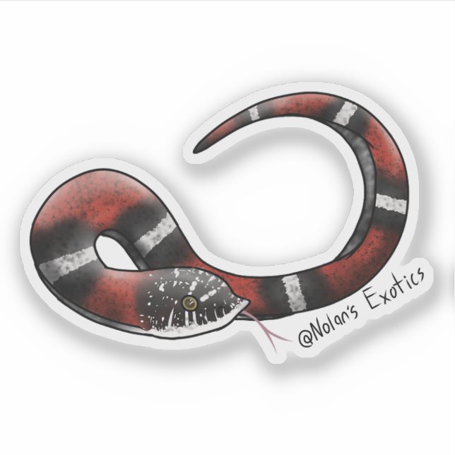 Tri-color Hognose sticker (Vorderseite)
