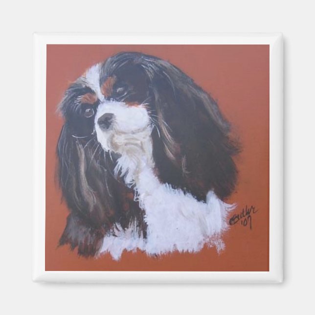 Tri-color King Charles Cavalier Magnet (Devant)