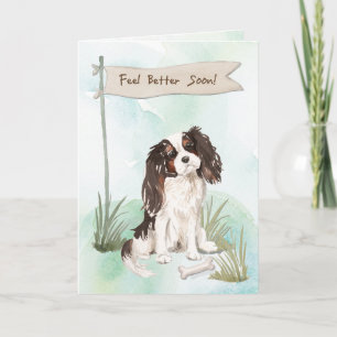 Tri Color King Charles Spaniel Feel Better w/Dog Karte