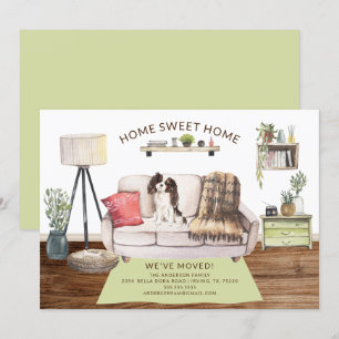 Tri color King Charles Spaniel Moving Ankündigung