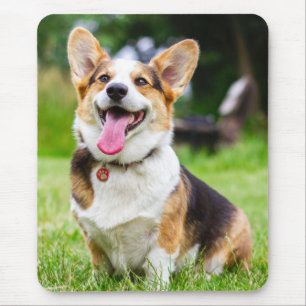 Tri color Pembroke Welsh Corgi Welppy Dog Mousepad