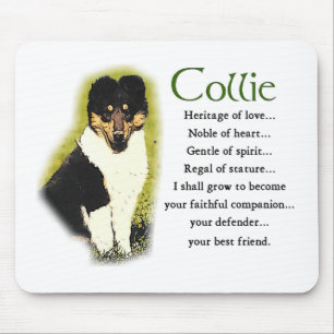 Tri Color Rough Collie Geschenke Mousepad