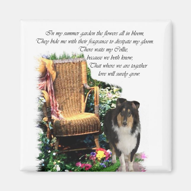 Tri-Color Rough Collie Kunstgeschenke Magnet (Vorne)