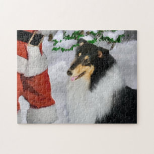 Tri Color Rough Collie mit Weihnachten