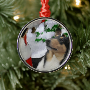 Tri Color Smooth Collie mit Weihnachten Ornament Aus Metall