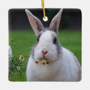 Tri Colour Dutch Zwerg Mini Kaninchen Keramikornament