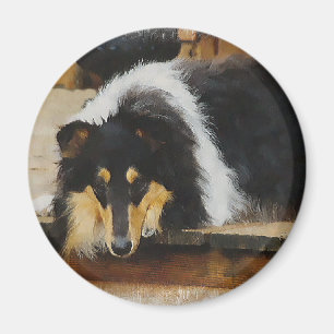 Tri-Colour-Gaben Magnet