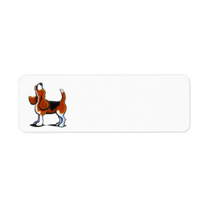 Tri FarbeBeagle-Bucht