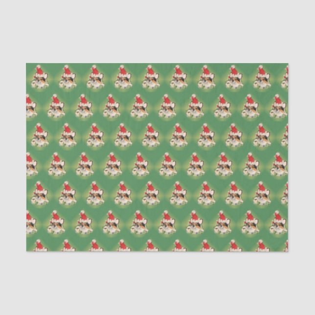 Tri Farbecorgi-Sankt-Seidenpapier Seidenpapier (Vorderseite)