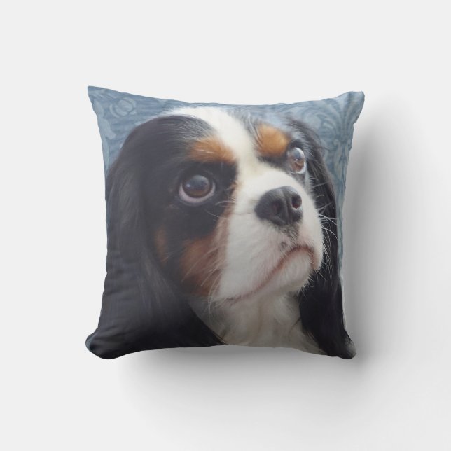 Tri Farbeunbekümmertes Wurfs-Kissen Kissen (Vorderseite)