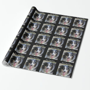 Tri farbiger Border-Collie-Hund Geschenkpapier