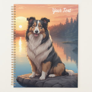 Tri-farbiger Collie am See Planer