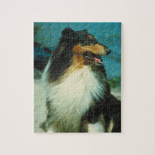 Tri Farbiges Collie-Hundepuzzlespiel