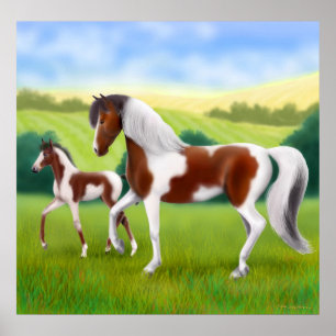 Tri farbiges Farben-Pferd und Fohlen-Plakat Poster