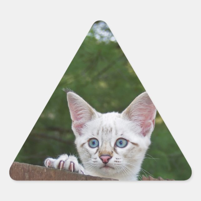 Triangulaire Sticker Triangle Chat Savannah Blanc (Devant)