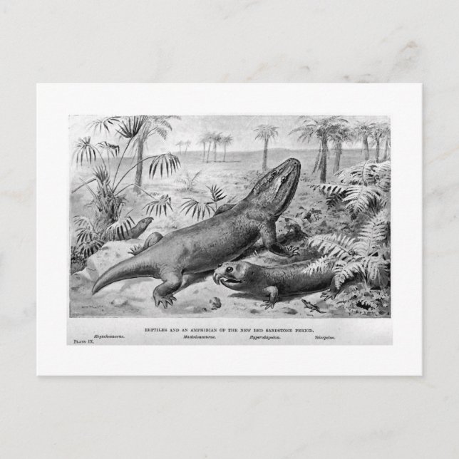 Triasische Reptilien und amphibische Kunstpostkart Postkarte (Vorderseite)