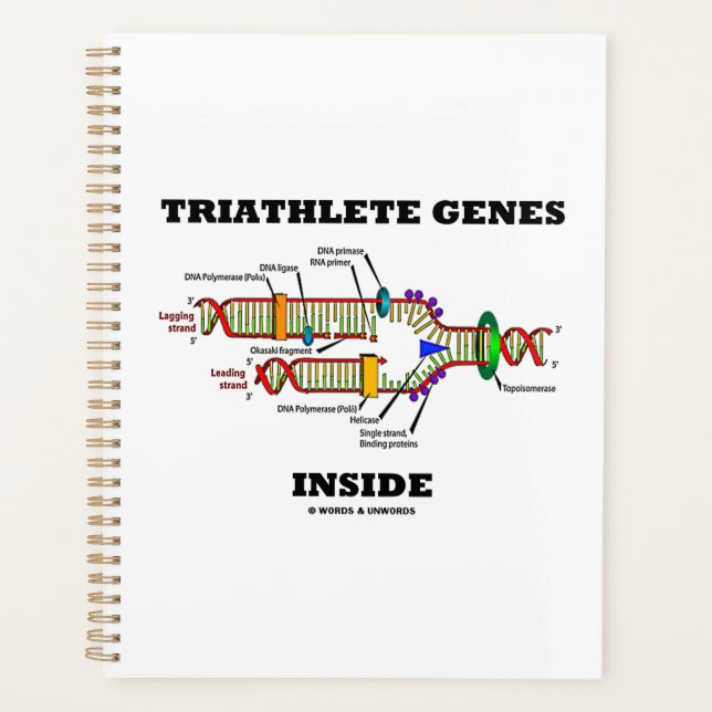Triathleete Gene in der DNA-Replikation Planer (Vorderseite)