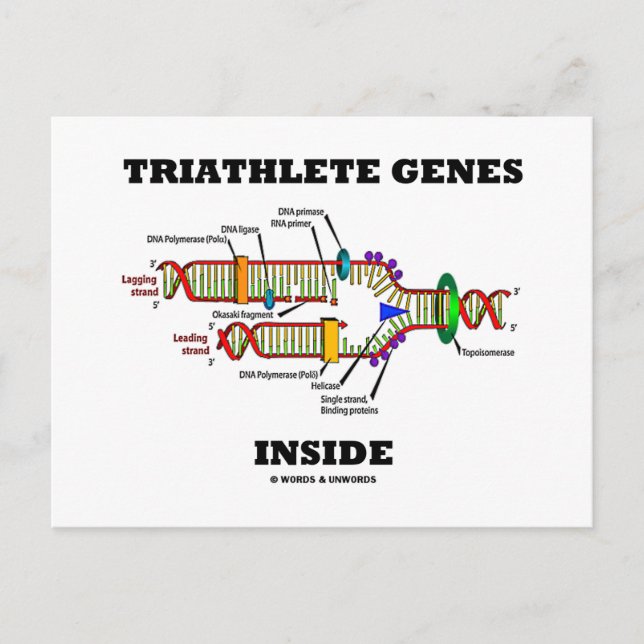 Triathlete Genes Inside (DNA-Replikation) Postkarte (Vorderseite)