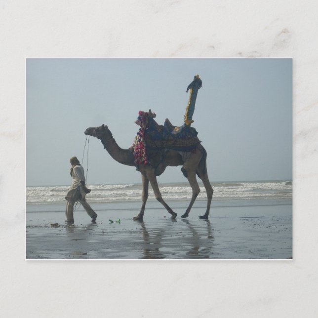 Tribal Camel Ride: Morgengrauen mit Sandstrand und Postkarte (Vorderseite)