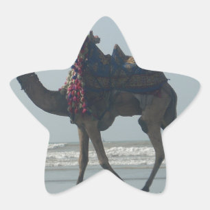 Tribal Camel Ride: Morgengrauen mit Sandstrand und Stern-Aufkleber
