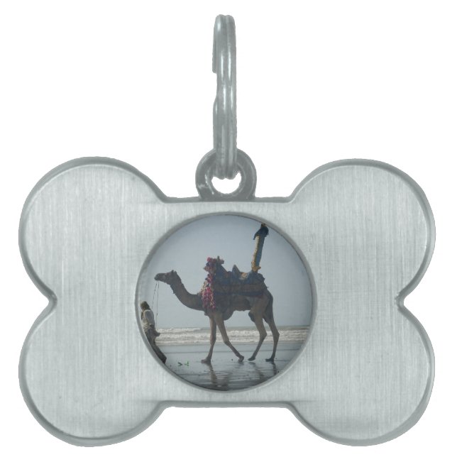 Tribal Camel Ride: Morgengrauen mit Sandstrand und Tiermarke (Vorderseite)