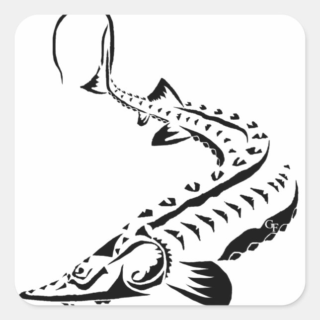 Tribal Sturgeon - Shovelnose Quadratischer Aufkleber (Vorderseite)