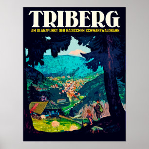 Triberg im Schwarzwald, Blick aus dem schwarzen Wa Poster