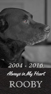 Beileid Tod Des Hundes Geschenke Zazzle Ch