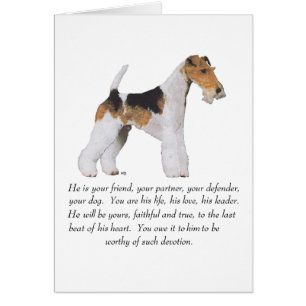 Tribute à la mémoire du Wire Fox Terrier MÂLE