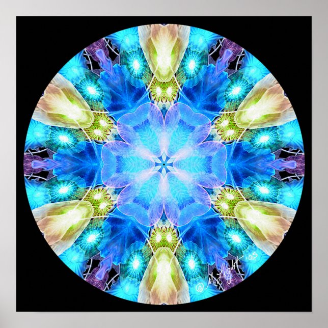 "Tribute to Chihuly" Mandala Poster/ Print Poster (Vorne)