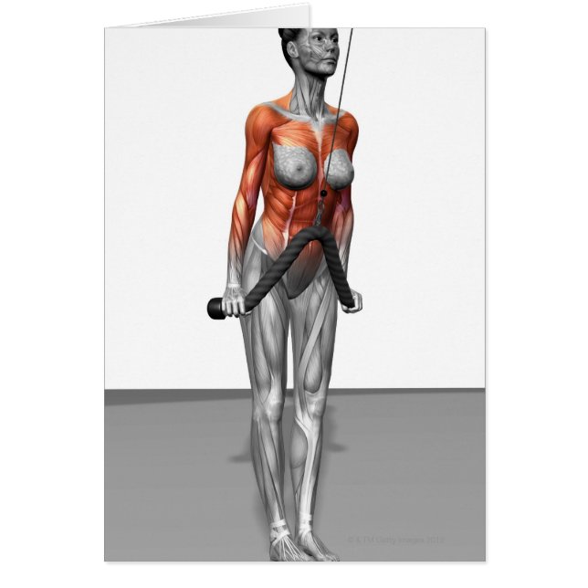 Triceps Push Down (Vorne)