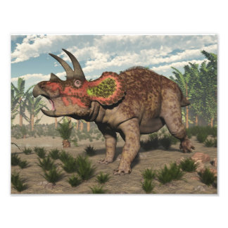 Triceratops dinosaur - 3D rendern Fotodruck