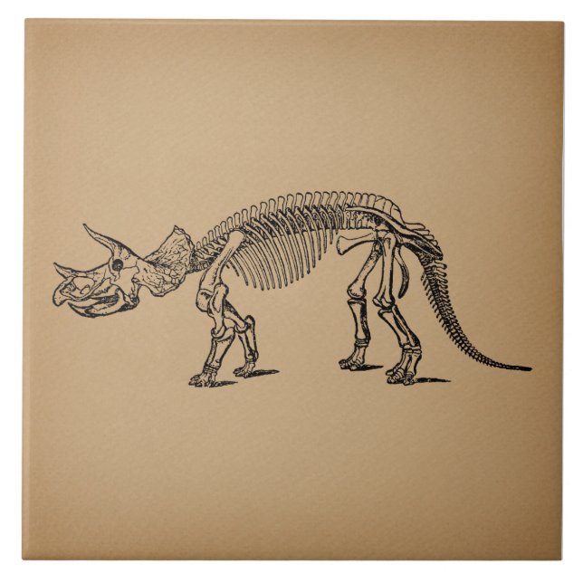 Triceratops Dinosaur Skeletts Fliese (Vorderseite)