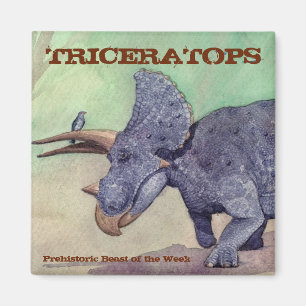 Triceratops-Magnet Magnet