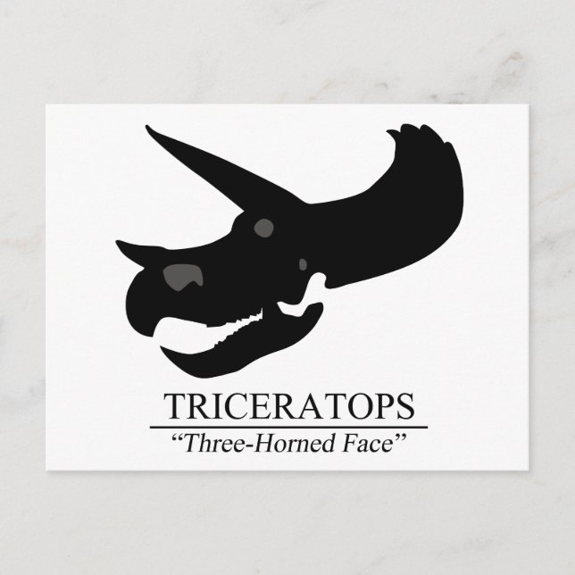 Triceratops Skull Postkarte (Vorderseite)