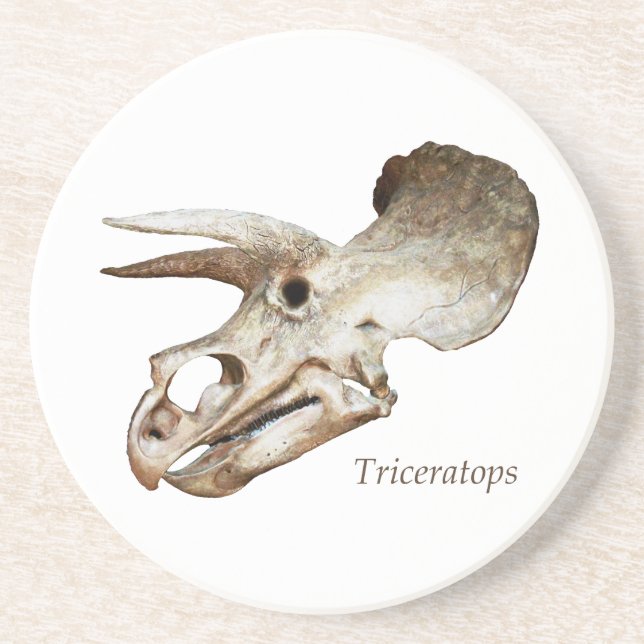 Triceratops Skull-Untersetzer Sandstein Untersetzer (Vorne)