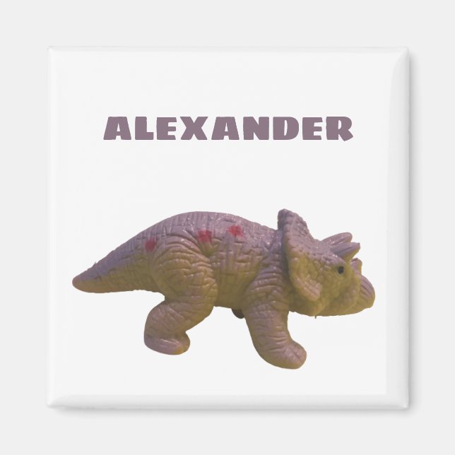 Triceratops und Ihr Name Toy Dinosaurier Magnet (Vorne)