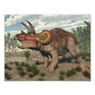 Triceratopsdinosaurier - 3D übertragen Fotodruck