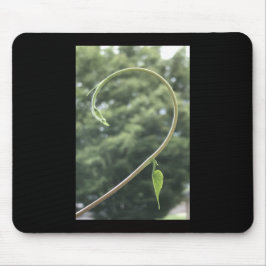 Trichterwindenranke und -blatt mousepad