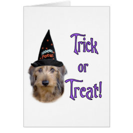 Trick Dachshund (fil)