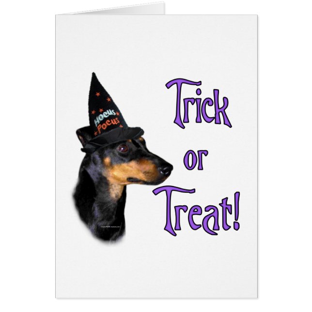 Trick de Manchester Terrier (Devant)