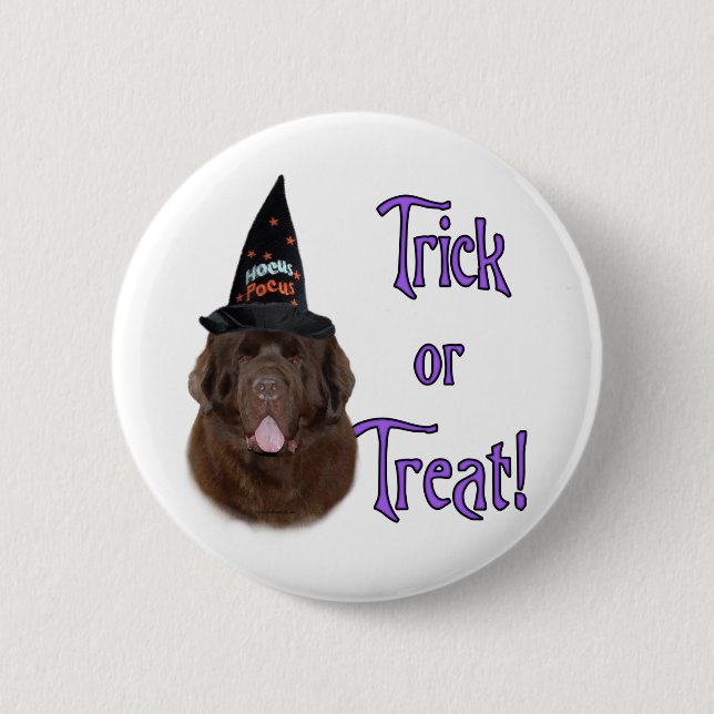 Trick für Neufundland (braun) Button (Vorderseite)
