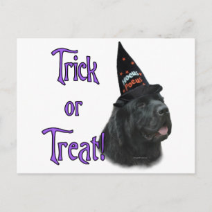 Trick für Neufundland (schwarz) Postkarte