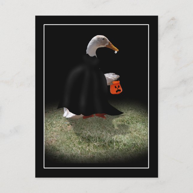 Trick oder Bearbeitungszeit für Dracula Duck Postkarte (Vorderseite)